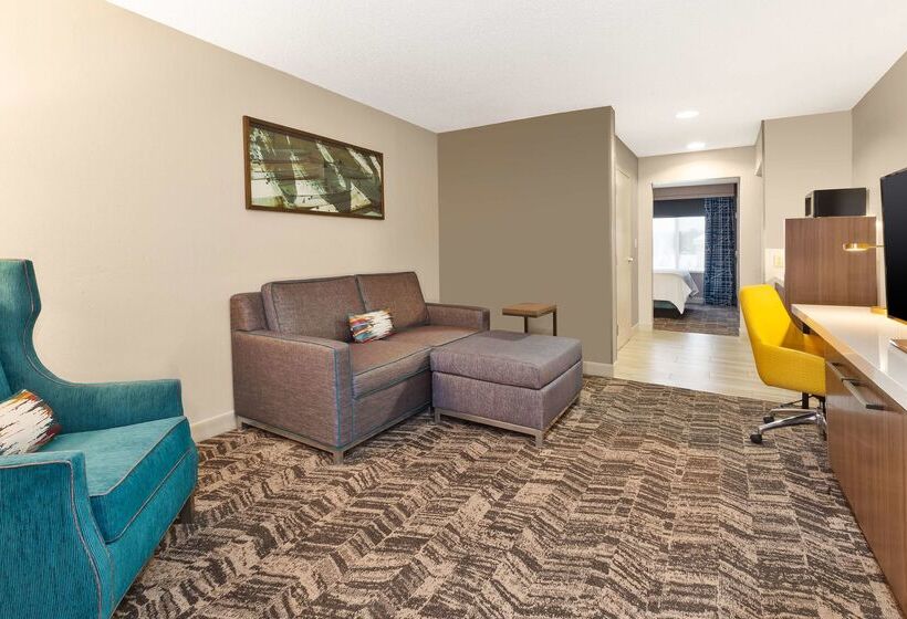 ホテル Hilton Garden Inn Minneapolis   Maple Grove