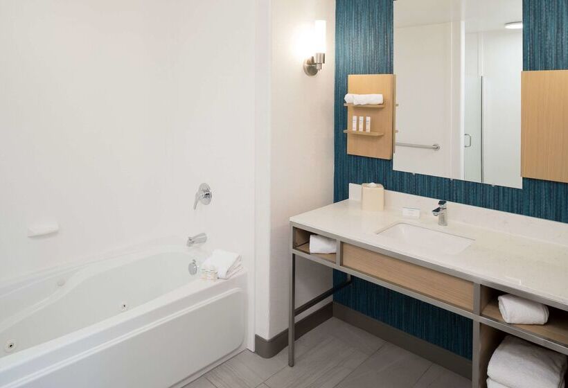 هتل Hilton Garden Inn Sioux City Riverfront