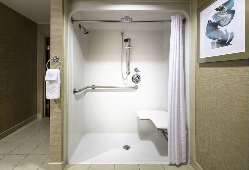 فندق Hilton St. Petersburg Carillon Park