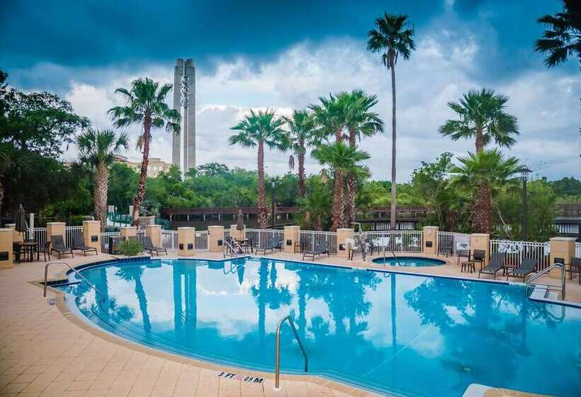 فندق Hilton St. Petersburg Carillon Park