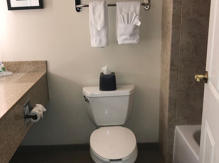 هتل Holiday Inn & Suites Ann Arbor Univ Michigan Area By Ihg