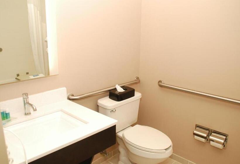 فندق Holiday Inn Express Birmingham Irondale East, An Ihg