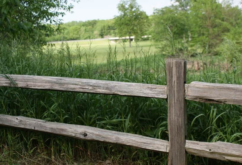 Timber Creek Bed & Breakfast