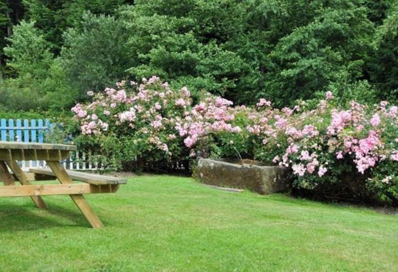 فندق صغير Auberge De La Cholotte