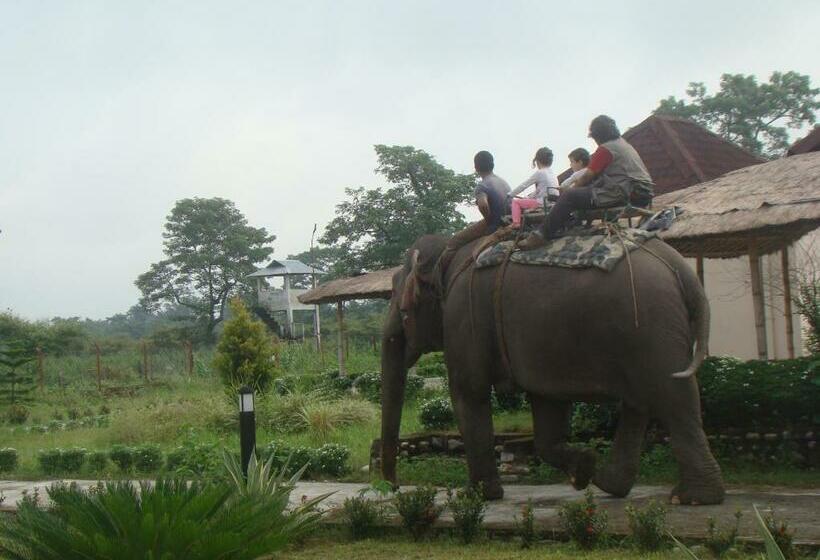 منتجع Musa Jungle Retreat