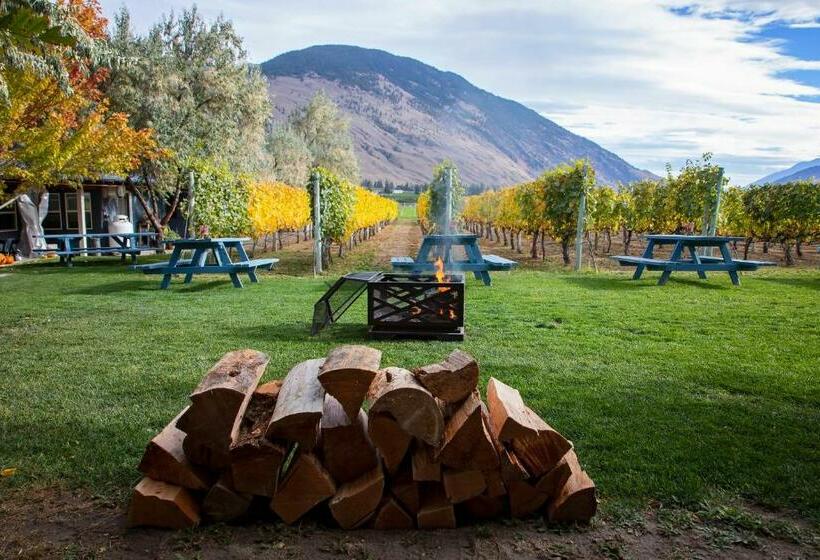 住宿加早餐  Crowsnest Vineyards Guesthouse