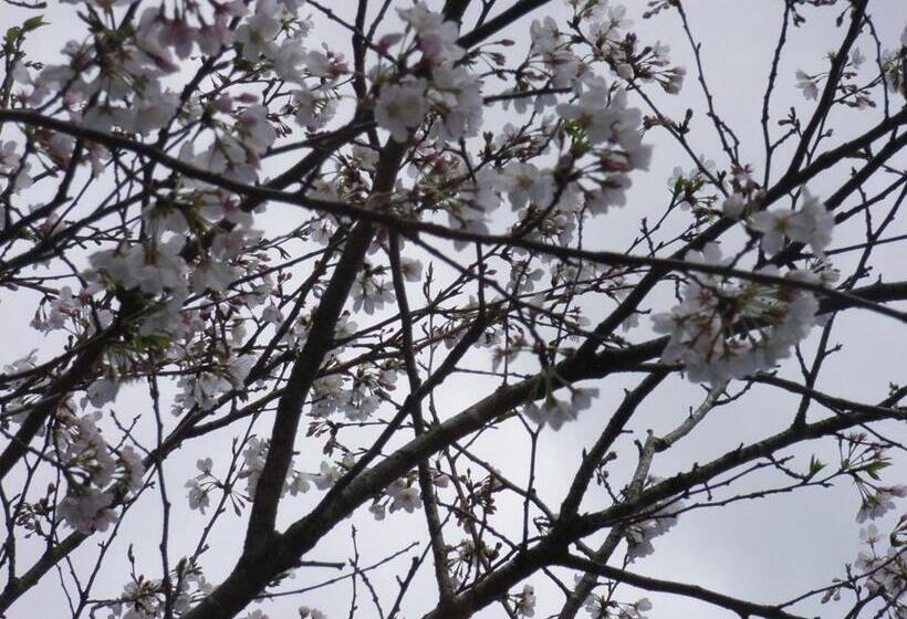 Пансион Minshuku Hoshi No Sumika