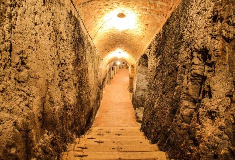 هتل Mariel Znojmo