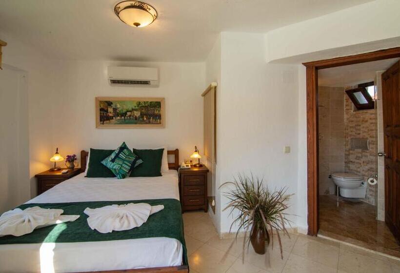 בית מלון כפרי Turay