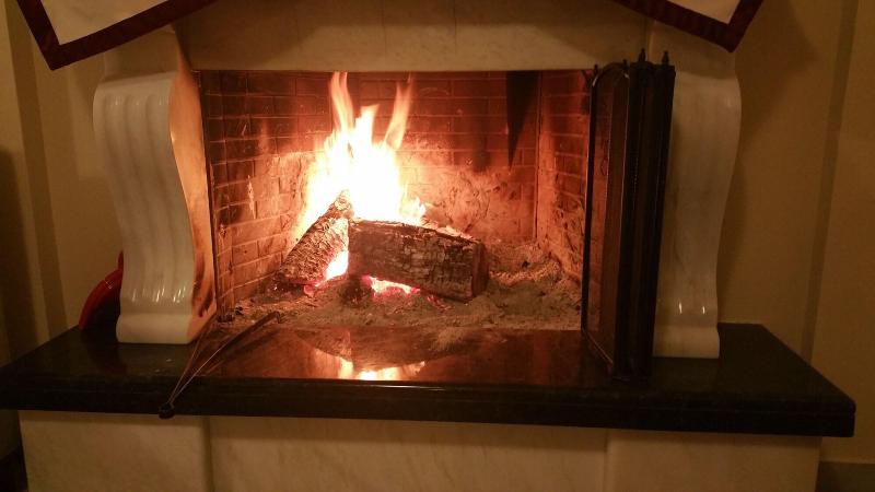 فندق Domus Inn