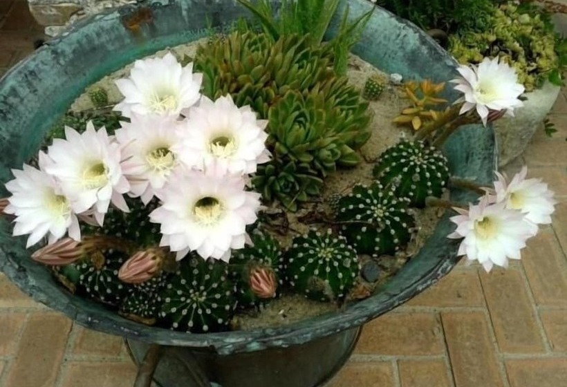 酒店 Agriturismo La Casa Di Botro