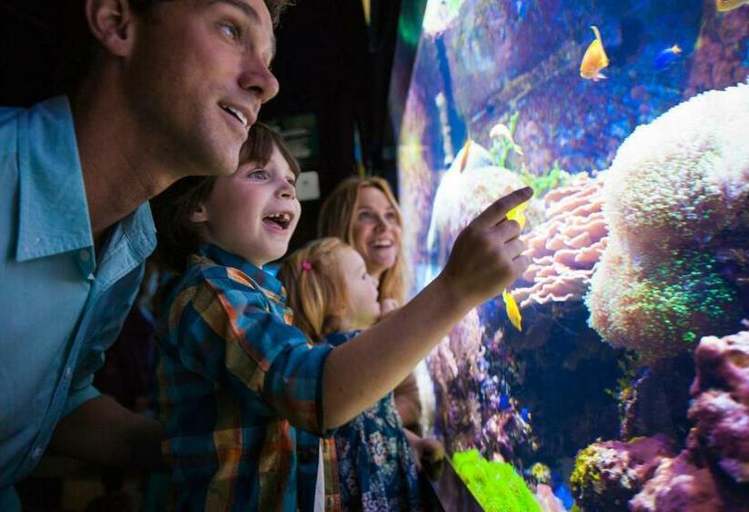 هتل Sheraton Niagara Falls