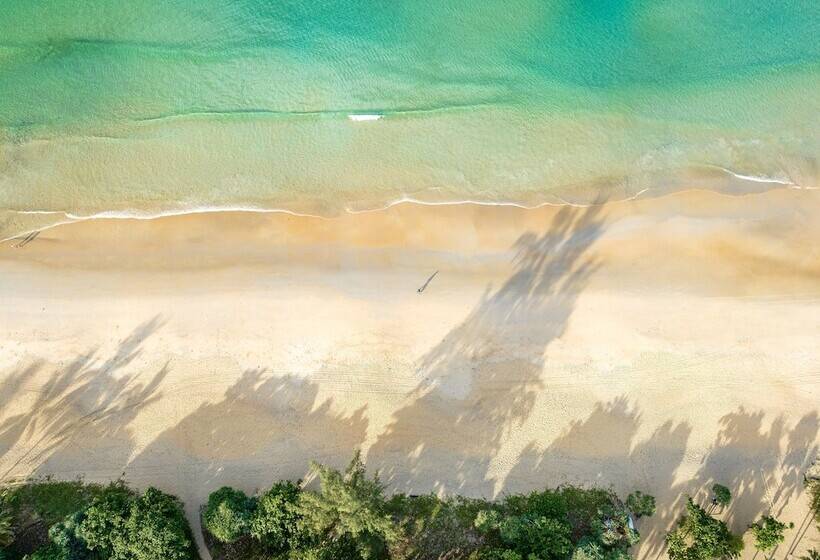 هتل Centara Grand Beach Resort Phuket   Sha Plus