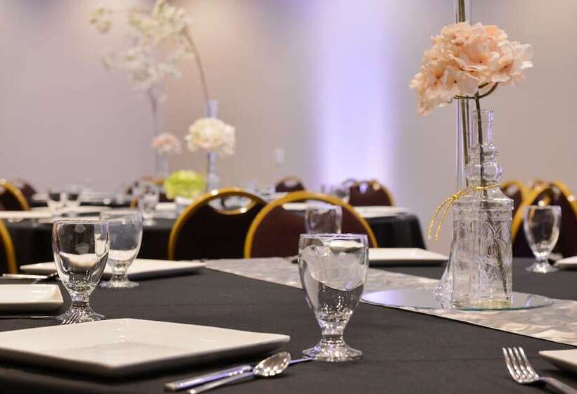 هتل Holiday Inn Kansas City Airport, An Ihg