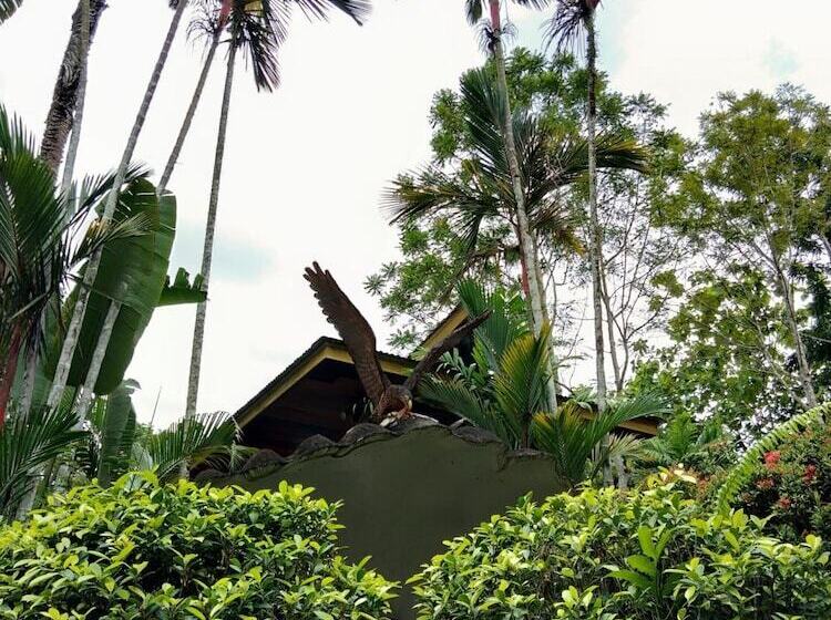 هتل Sepilok Jungle Resort