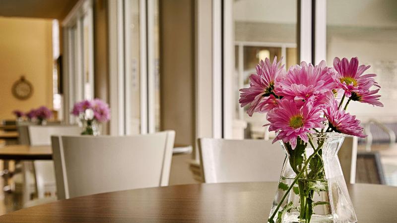 هتل Best Western Plus Downtown Inn & Suites