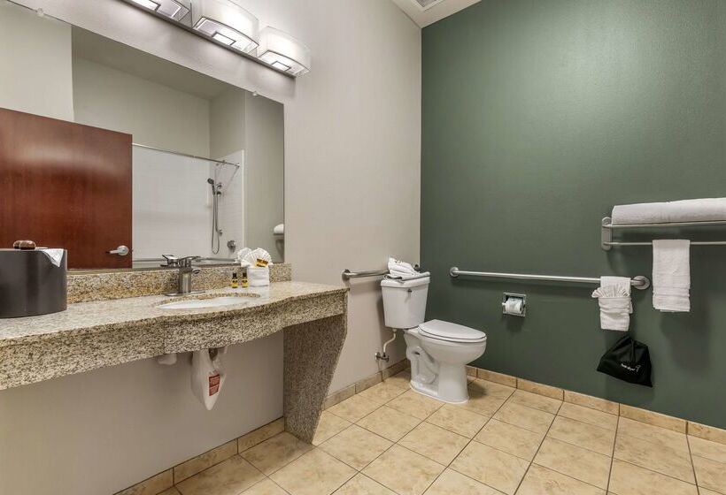 酒店 Best Western Plus Duncanville/dallas