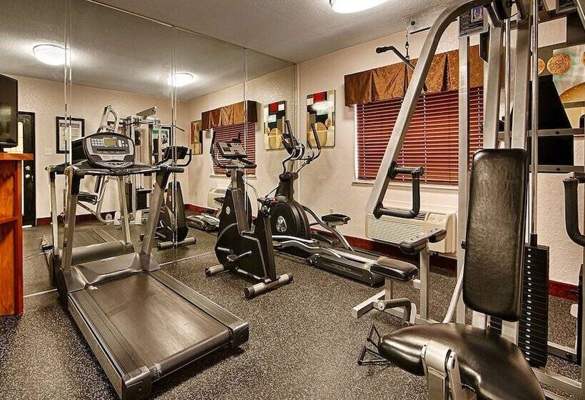 هتل Best Western Plus Northwest Inn And Suites Houston