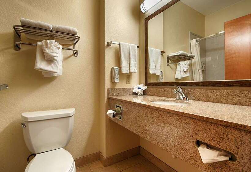 酒店 Best Western Plus San Antonio East Inn & Suites