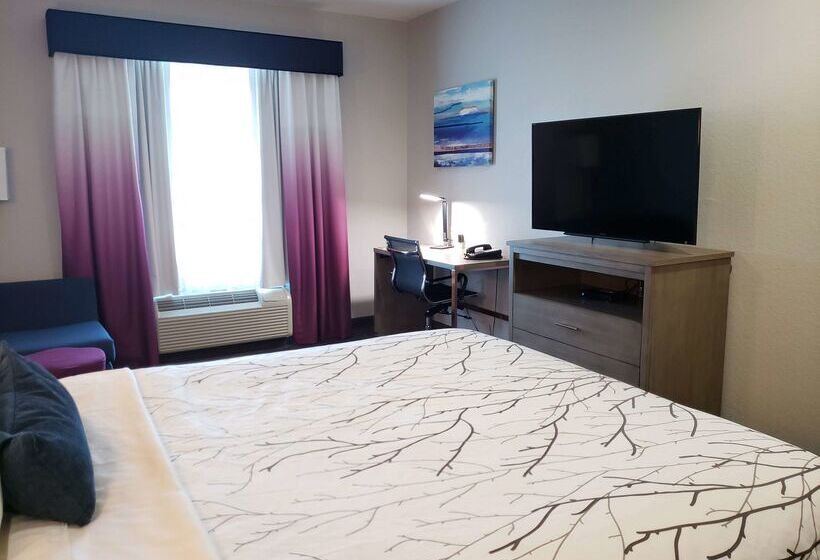 酒店 Best Western Plus San Antonio East Inn & Suites