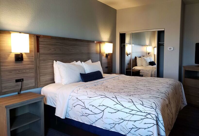 酒店 Best Western Plus San Antonio East Inn & Suites