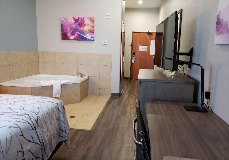 酒店 Best Western Plus San Antonio East Inn & Suites