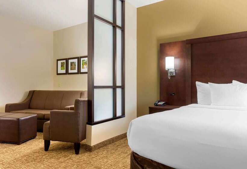 هتل Comfort Suites Little Rock West