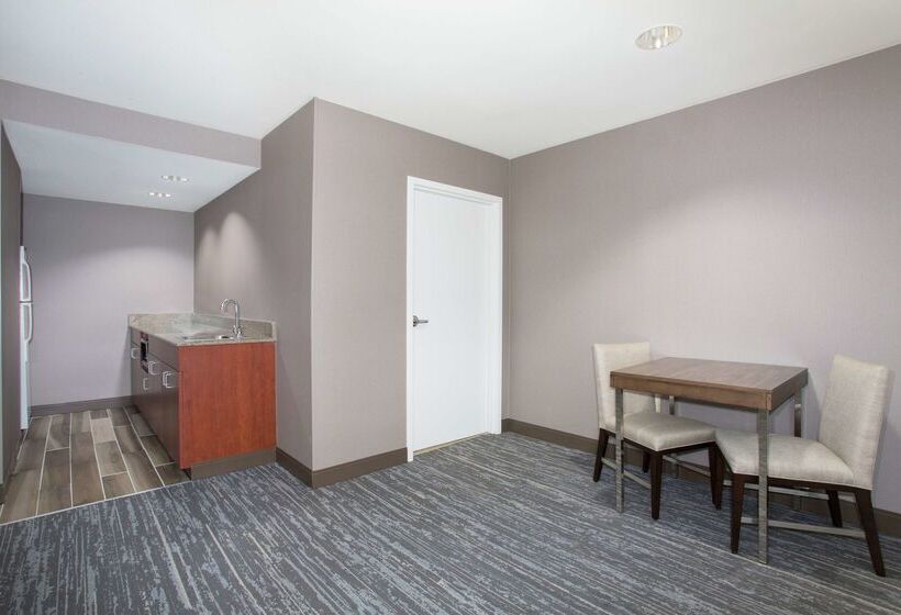 هتل Hampton Inn & Suites Denverdowntown