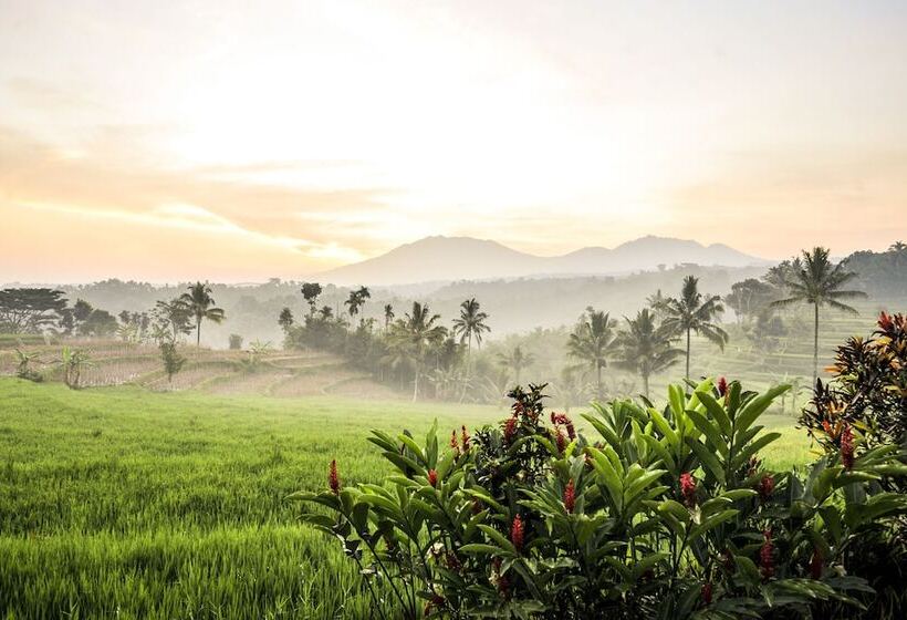هتل Ijen Resort And Villas   The Hidden Paradise