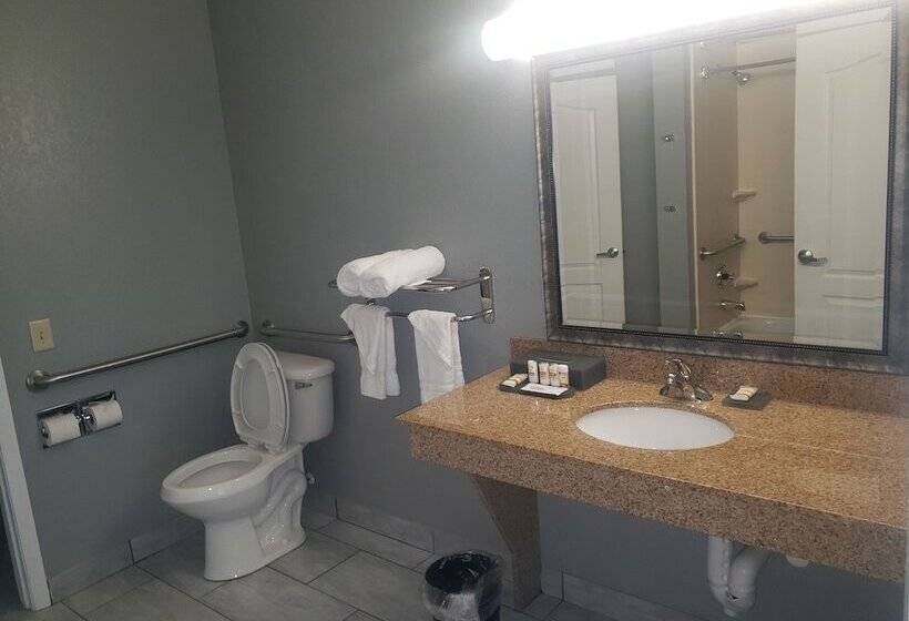 هتل La Quinta By Wyndham Mobile   Tillman S Corner