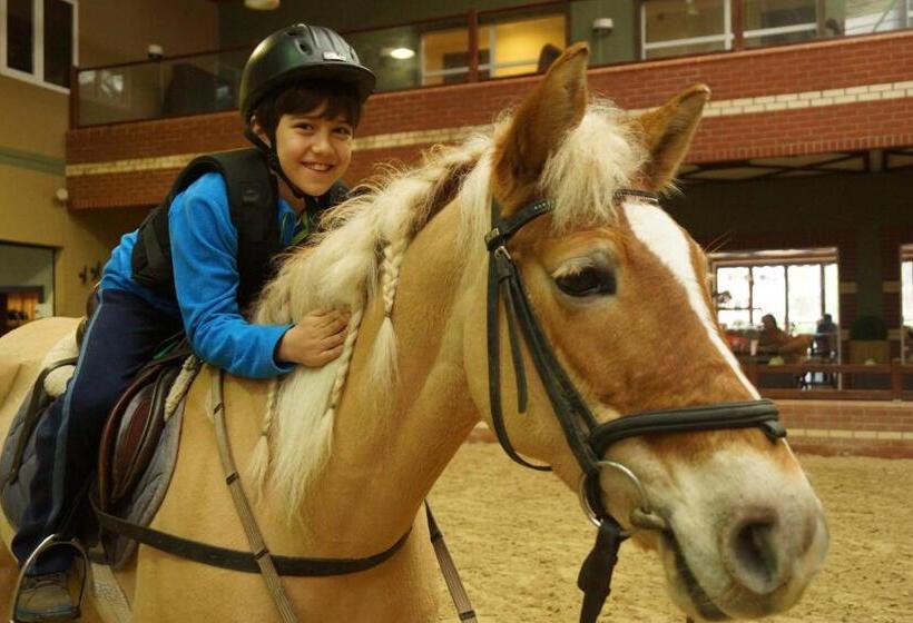 Padok Premium Hotel And Stables