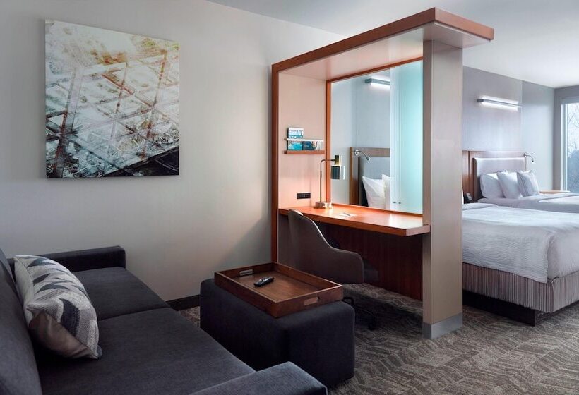 هتل Springhill Suites By Marriott Atlanta Airport Gateway