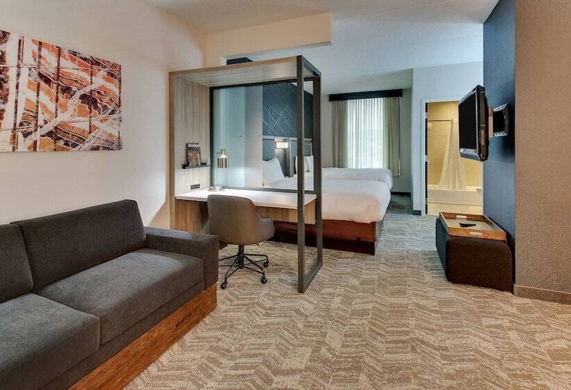 هتل Springhill Suites By Marriott Birmingham Downtown At Uab
