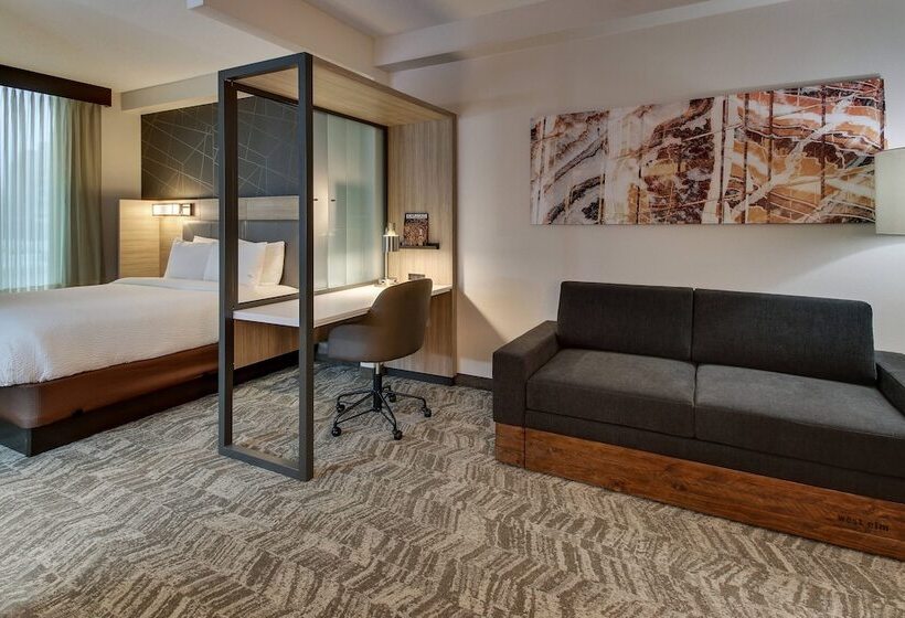 هتل Springhill Suites By Marriott Birmingham Downtown At Uab