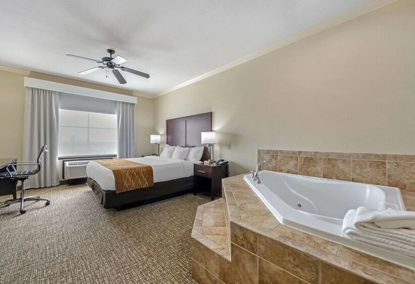 هتل Comfort Inn & Suites Fort Worth  Fossil Creek