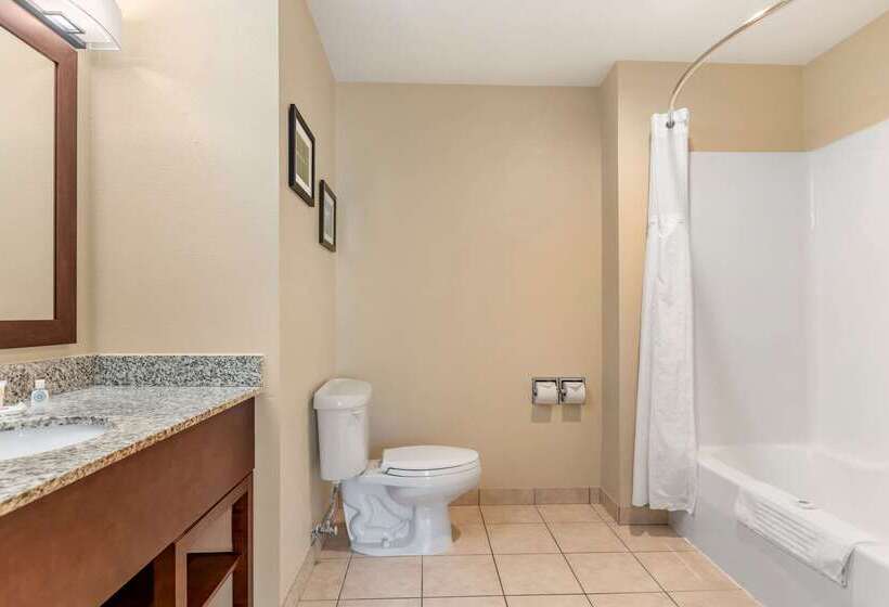 هتل Comfort Suites Grand Rapids North