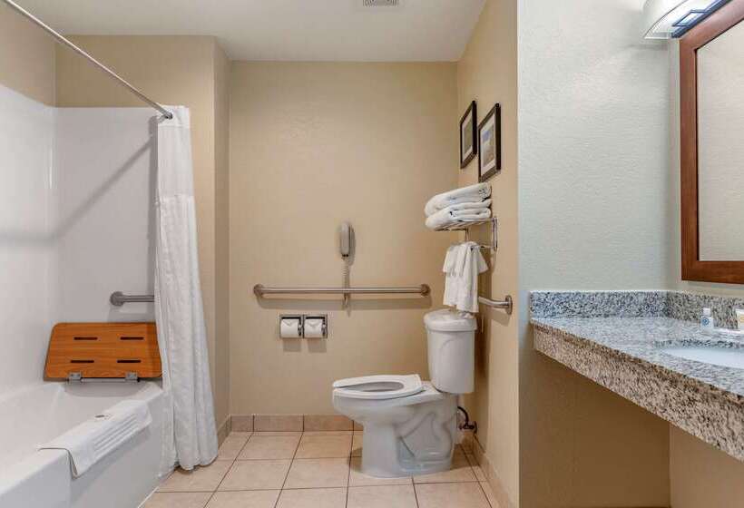 هتل Comfort Suites Grand Rapids North