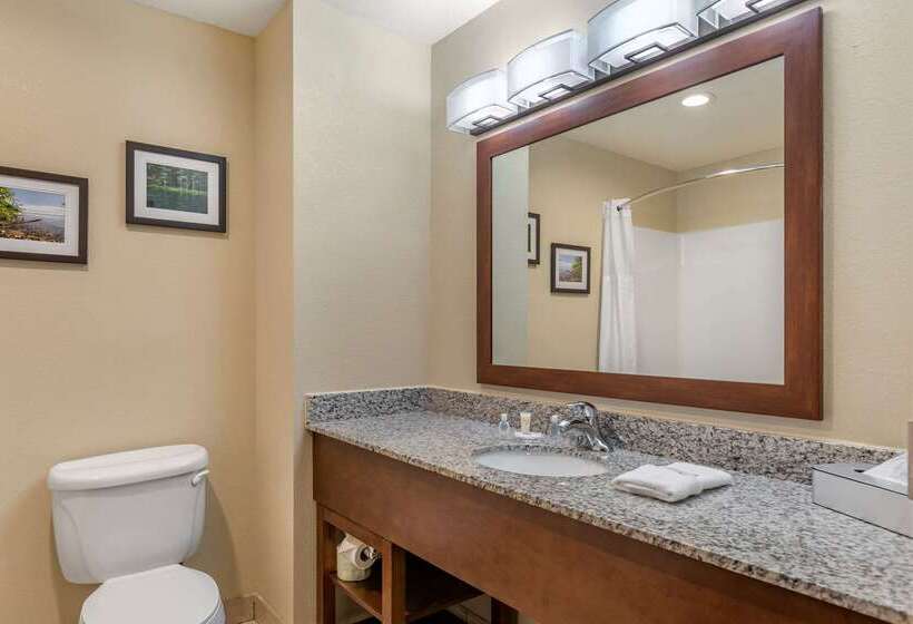 هتل Comfort Suites Grand Rapids North