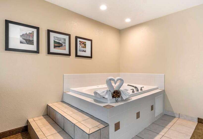 هتل Comfort Suites Grand Rapids North