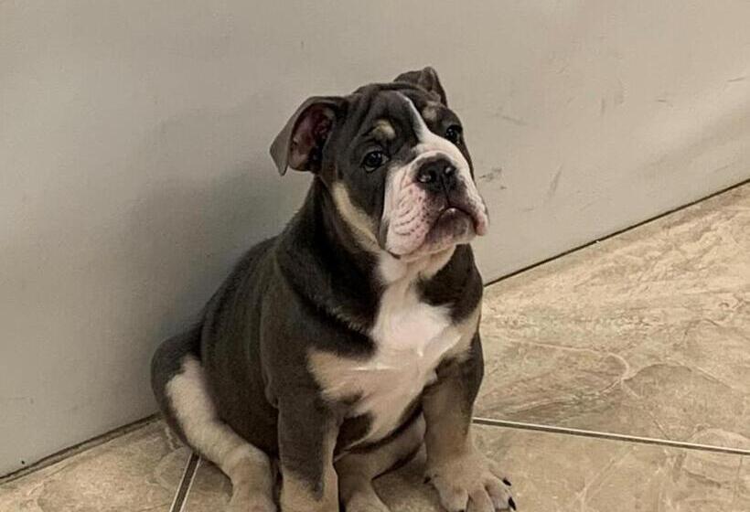 فندق Country Inn & Suites By Radisson, Ithaca, Ny