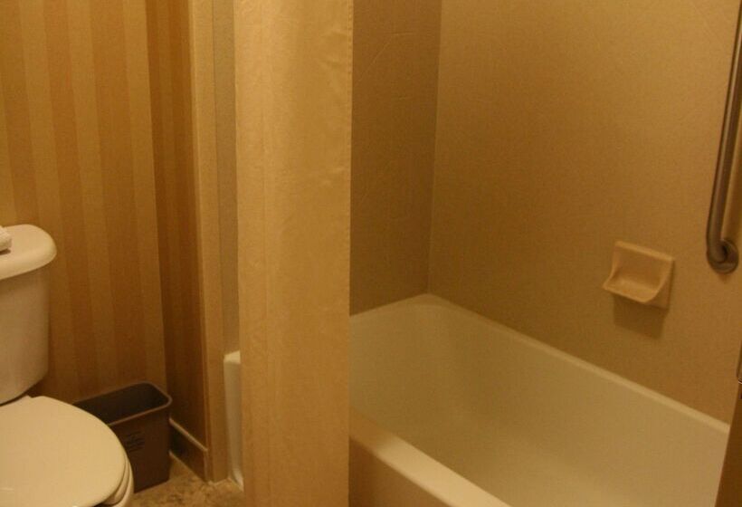 هتل Hampton Inn & Suites Mobile Providence Park/airport