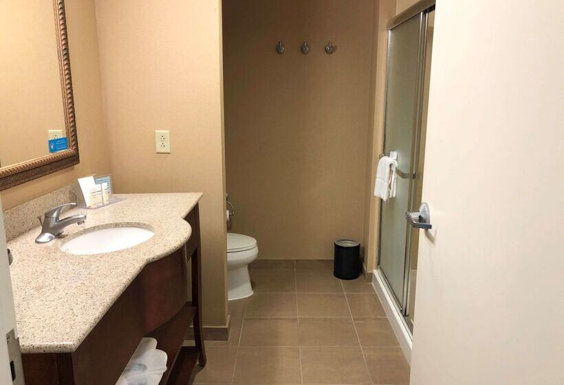 هتل Hampton Inn & Suites Norfolk Airport