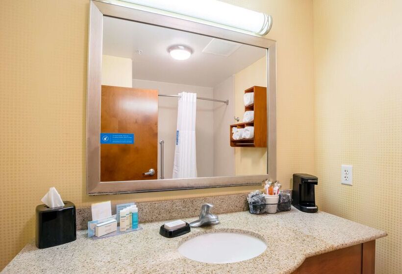 בית מלון כפרי Hampton Inn Ringgold Ft. Oglethorpe