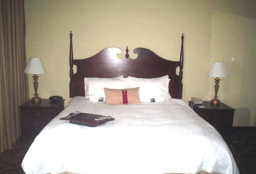 هتل Hampton Inn & Suites Del Rio, Tx