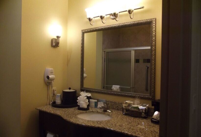 호텔 Hampton Inn & Suites Gainesville