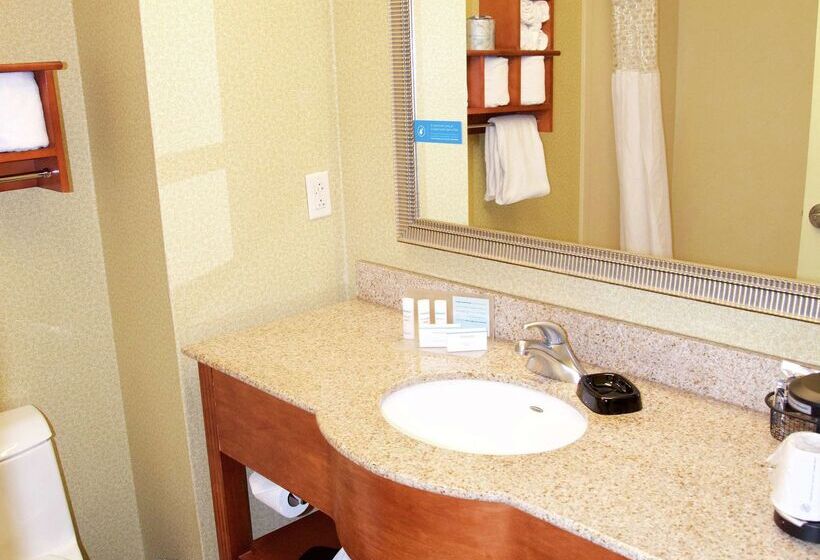 هتل Hampton Inn & Suites Molinequad City Int L Aprt