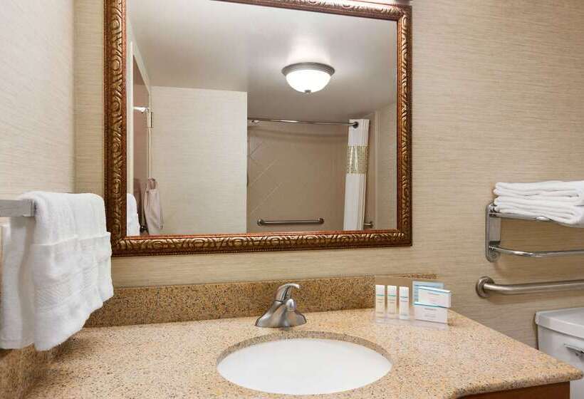 هتل Hampton Inn & Suites Williamsburg Historic District