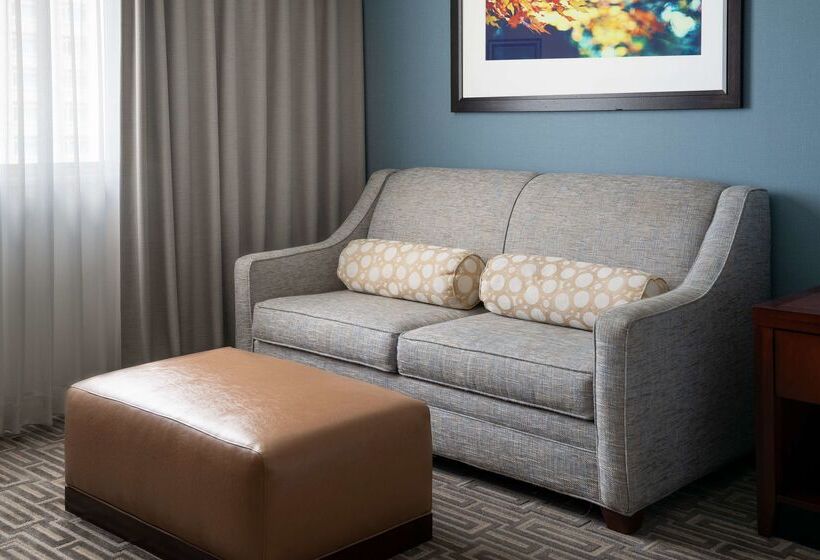 هتل Hilton Garden Inn Denver Downtown