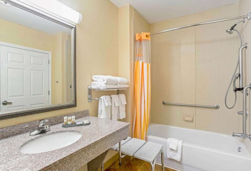 Отель La Quinta Inn & Suites By Wyndham Mobile Satsuma / Saraland