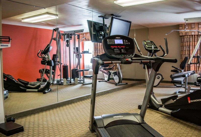 فندق Quality Inn & Suites Tampa Ybor City
